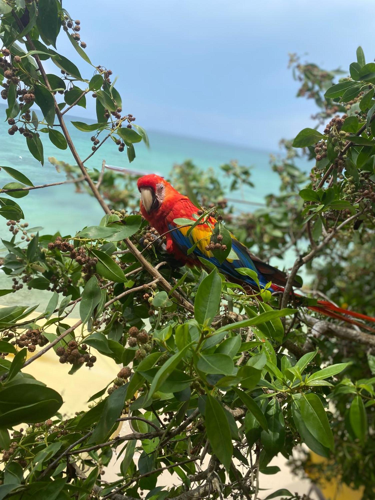 Posada Shekinah Baru Playa Blanca Eksteriør bilde